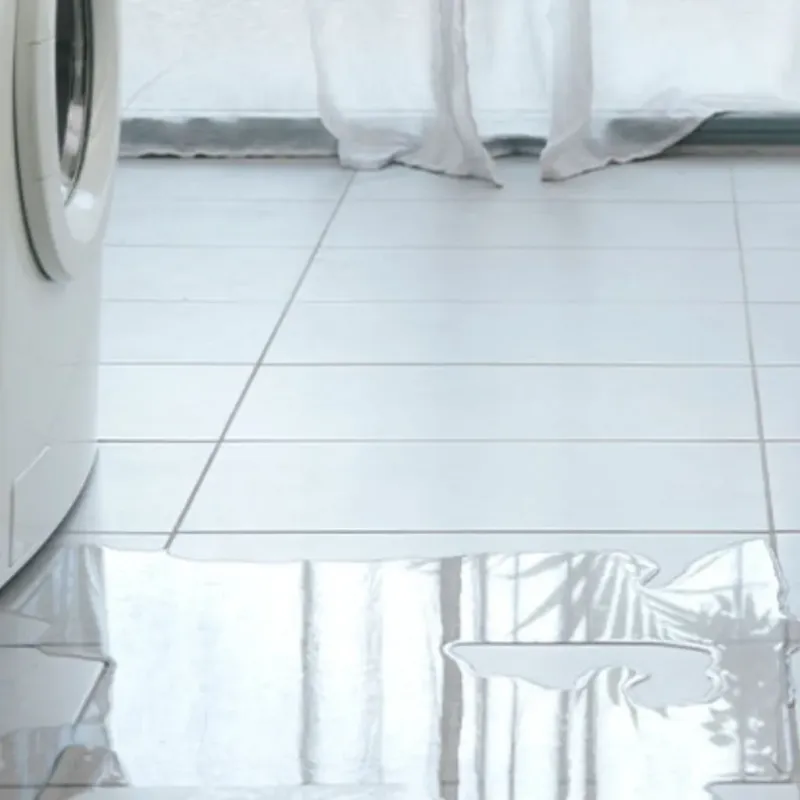 Appliance Leak Cleanup in Plainville, KS