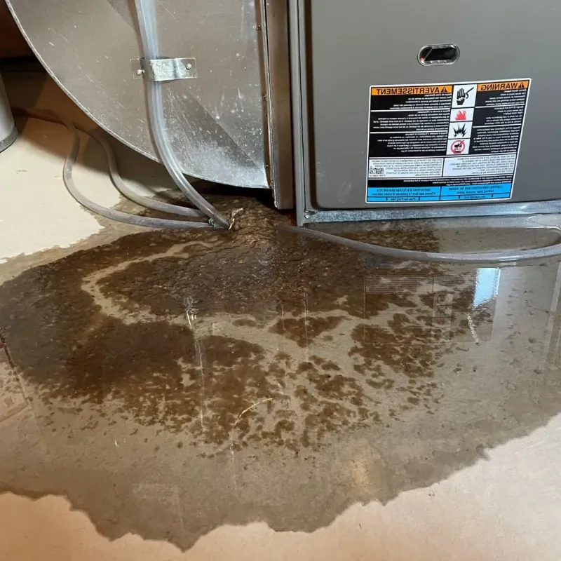 Pipe Burst and Leak Restoration in Plainville, KS