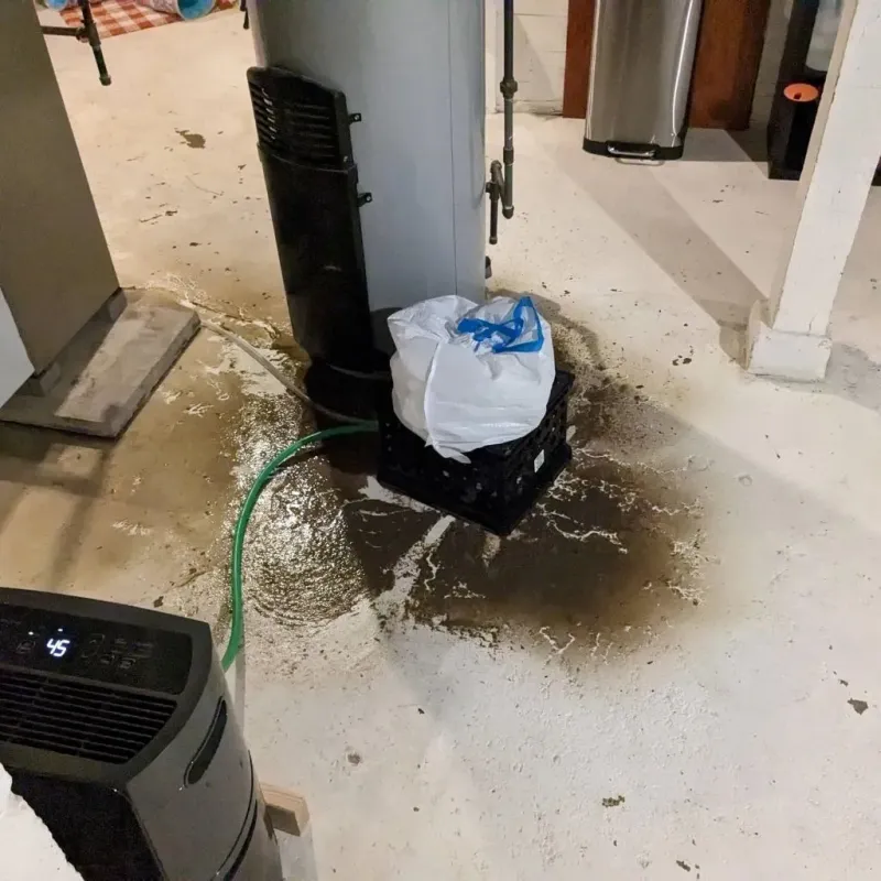 Sewage Backup Cleanup Service in Plainville, KS
